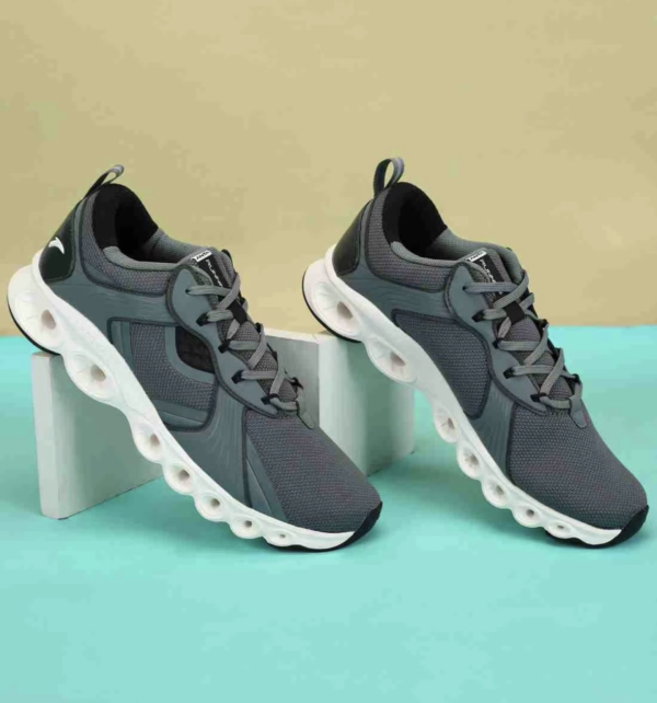 Anta